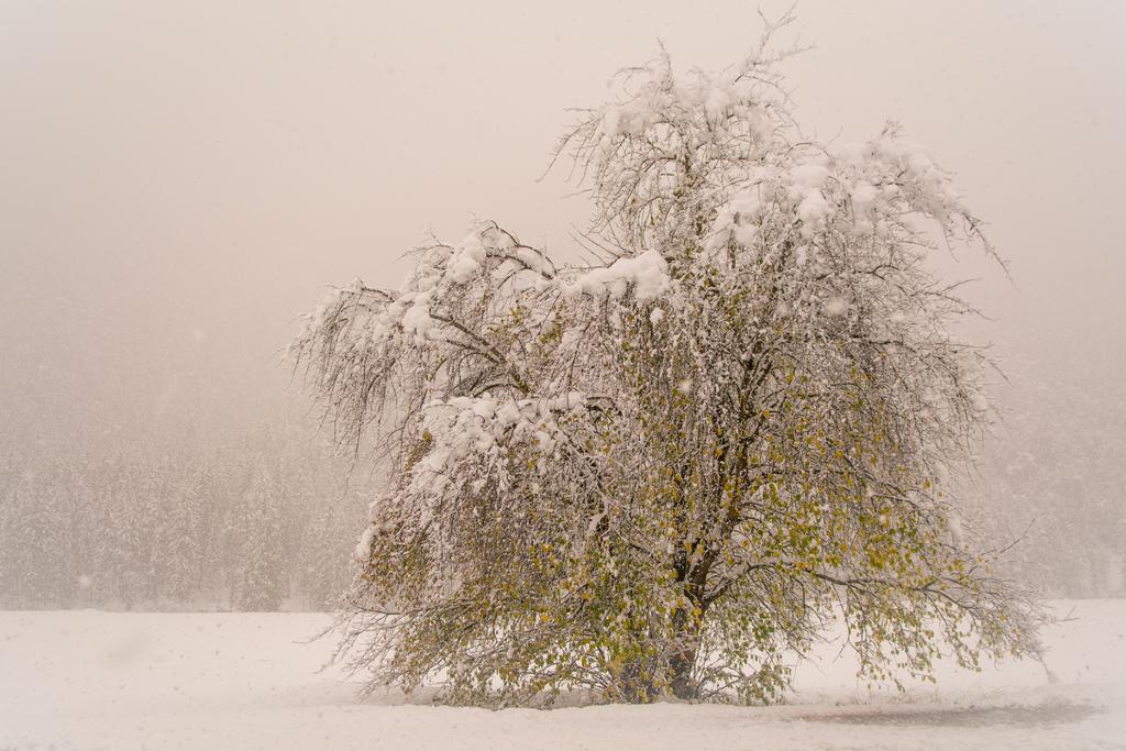 Stockerhof Villa ซานลอเรนโซดิเซบาโต ภายนอก รูปภาพ